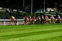 20081210_47611