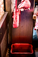 20081222_49954