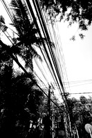 20081216_49232