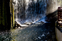 20081210_47548