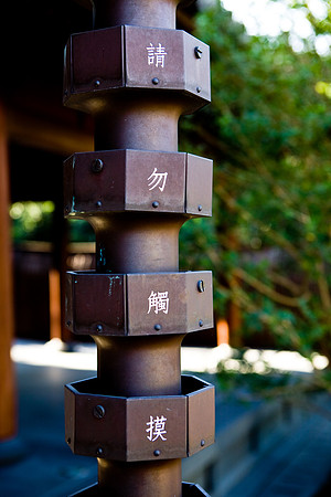 20081210_47537