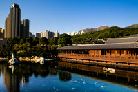 20081210_47541
