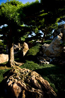 20081210_47534