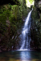 20081208_47246