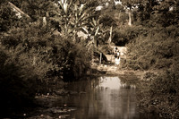 20081214_48808