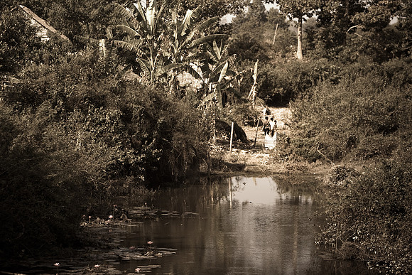 20081214_48808