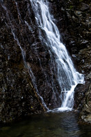 20081208_47322