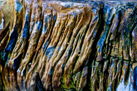 20081210_47538