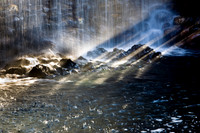 20081210_47550