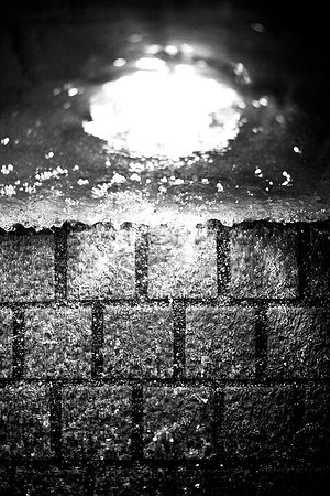 20081204_45930