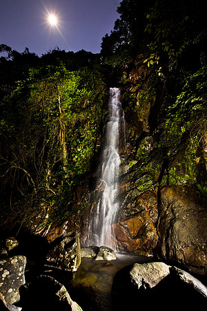 20081208_47378-Edit