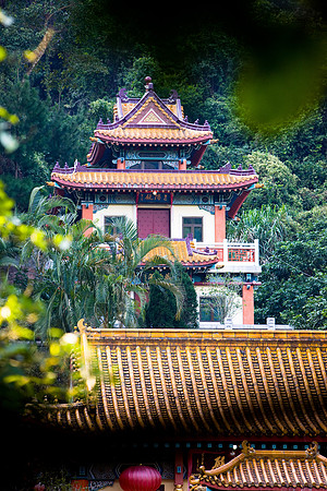 20081208_47206