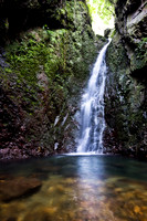 20081208_47245