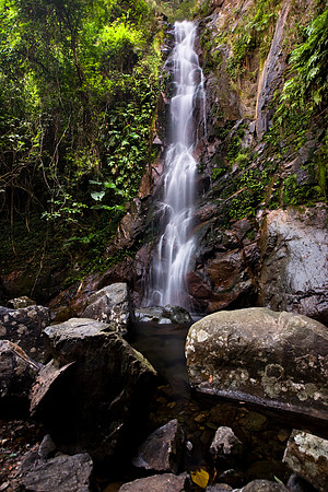 20081208_47374