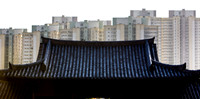 20081210_47560