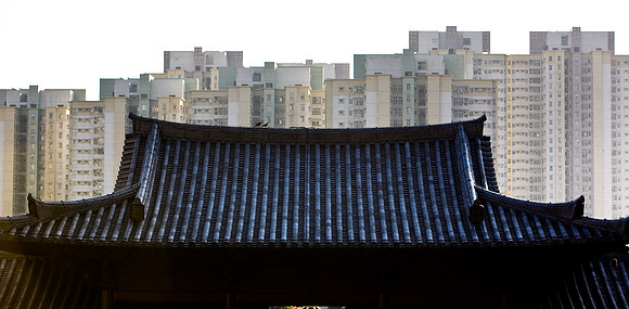20081210_47560