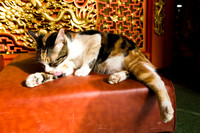 20081205_46152