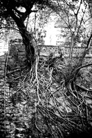 20081204_45919