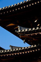 20081210_47562