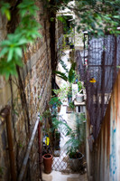 20081204_45911