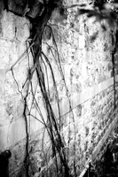 20081204_45913