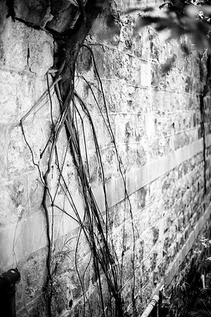 20081204_45913