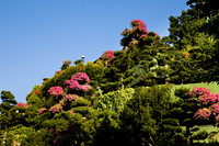 20081210_47544