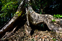 20081213_48441