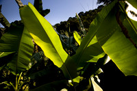 20081208_47187