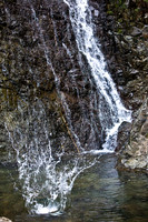 20081208_47339