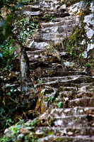 20081208_47211