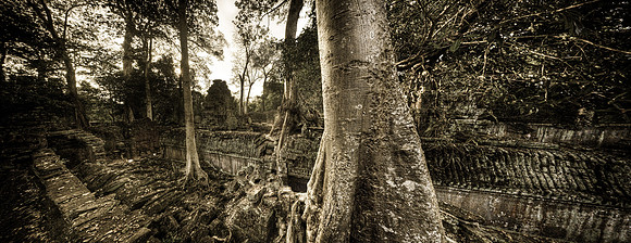 20081214_48691_2_e1