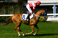 20081210_47592