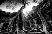 Ta Prohm
