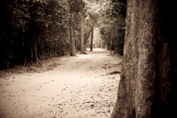 20081214_48618