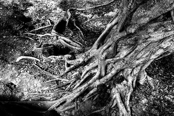 20081213_48366_7-2