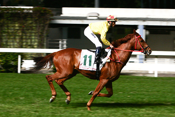 20081210_47637