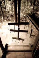 20081217_49443