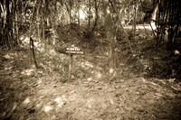 20081217_49455