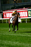 20081210_47632