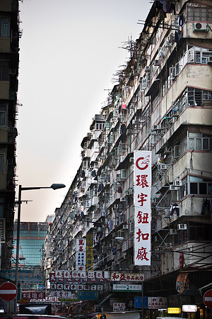 20081222_49947