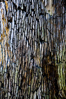 20081210_47539