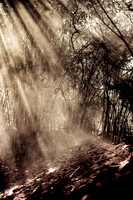Cu Chi