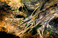 20081213_48366_7