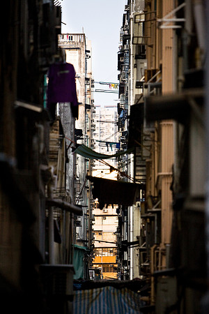 20081222_49943
