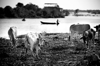 20081214_49003