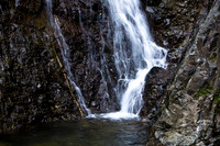 20081208_47319