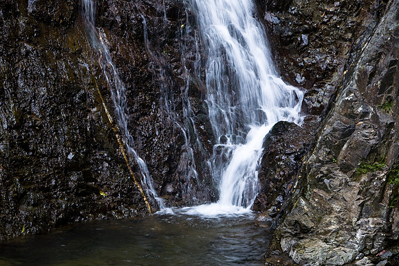 20081208_47319
