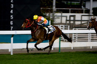 20081210_47614