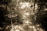 20081217_49449